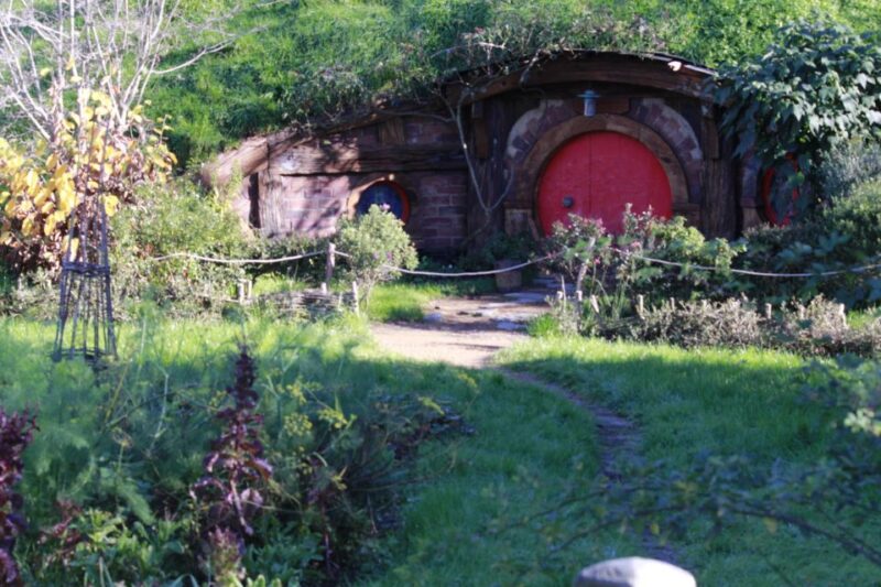 From Auckland: Hobbiton & Rotorua Tour With Lunch at Te Puia - Transportation and Pick-Up Details
