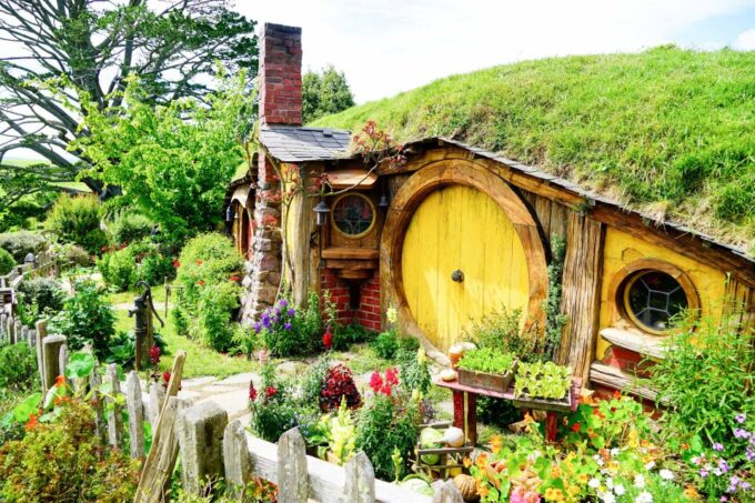 From Auckland: Hobbiton & Rotorua Tour With Lunch at Te Puia - Discover Maori Culture at Te Puia