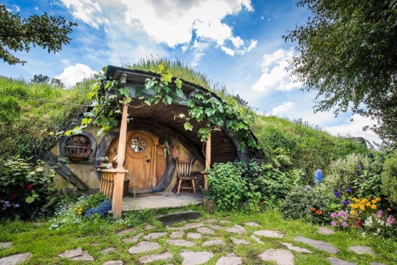 From Auckland: Hobbiton & Waitomo Caves Day Trip With Lunch - Customer Reviews