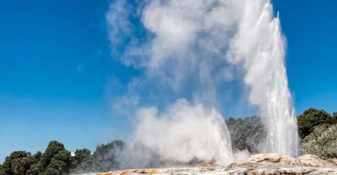 From Auckland: One-Way Transfer to Rotorua W/ Hobbiton Tour - Recap