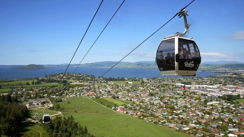 From Auckland: One-Way Trip to Rotorua With Waitomo Caves - Key Points
