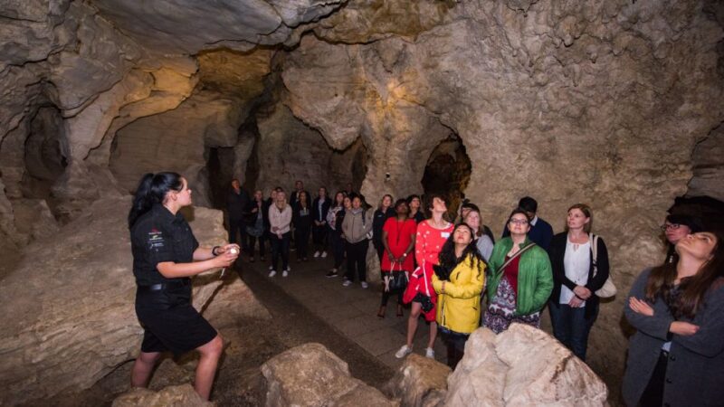 From Auckland: One-Way Trip to Rotorua With Waitomo Caves - Important Information and Requirements