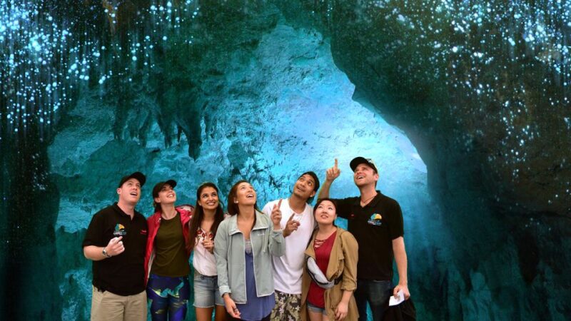 From Auckland: One-Way Trip to Rotorua With Waitomo Caves - Customer Reviews and Ratings