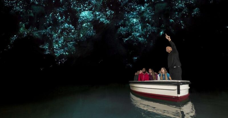 From Auckland or Rotorua: Hobbiton & Waitomo Tour With Lunch - Inclusions