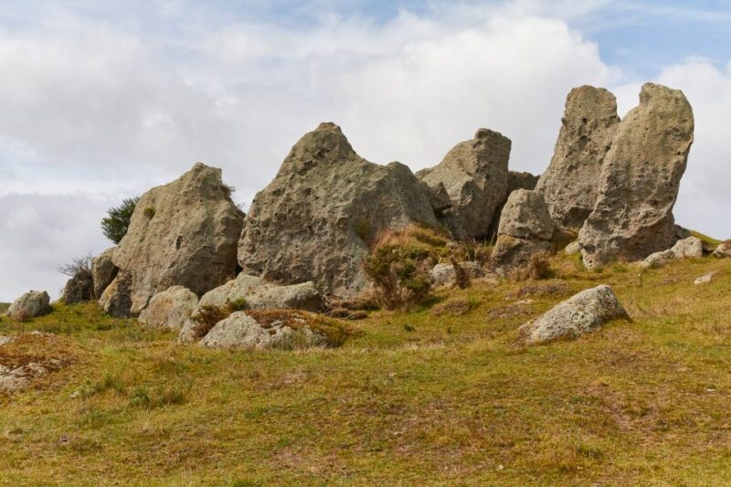 From Auckland or Rotorua: Hobbiton & Waitomo Tour With Lunch - Customer Reviews