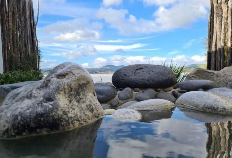 From Auckland: Rotorua Māori Village & Polynesian Spa Tour - Key Points