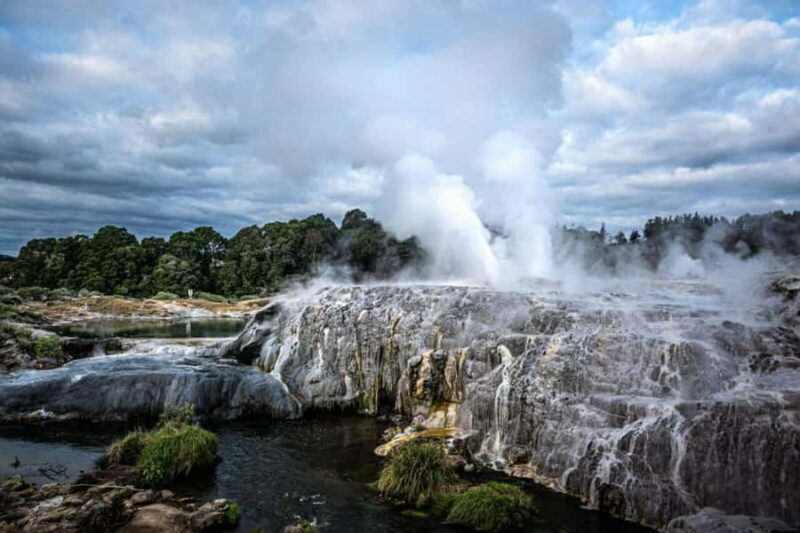 From Auckland: Rotorua Te Puia, Haka & Polynesian Spa Tour - Key Points