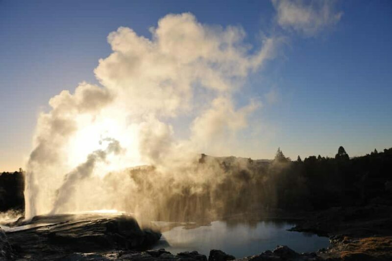 From Auckland: Rotorua Te Puia, Haka & Polynesian Spa Tour - An In-Depth Look at the Tour Experience