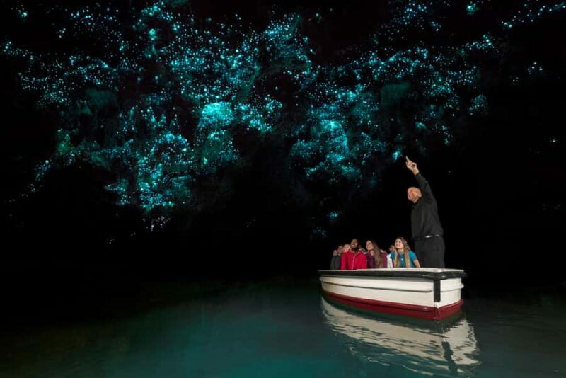 From Auckland: Two-Day Hobbiton, Rotorua, Waitomo Caves Tour - Key Points