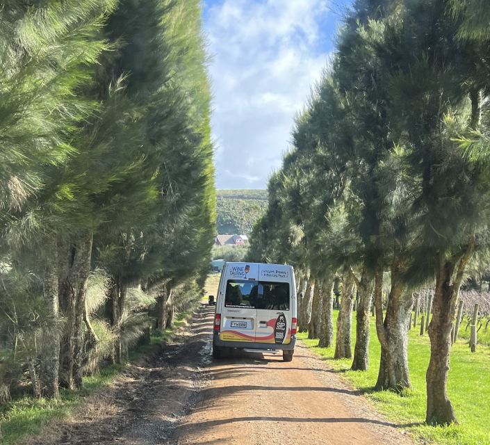 From Auckland: Waiheke Island Wine Cellar Tour - Transportation and Meeting Point