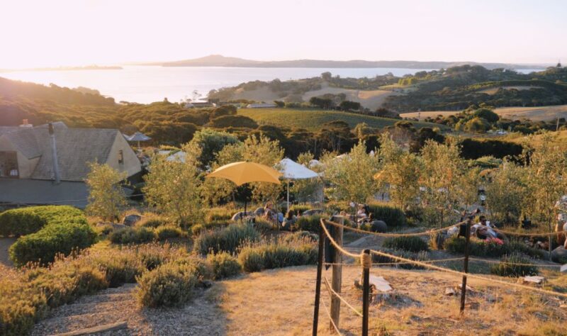 From Auckland: Waiheke Island Wine Cellar Tour - Lunch and Dining