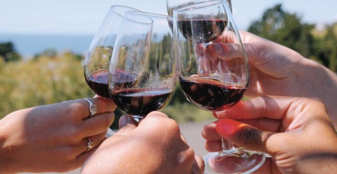 From Auckland: Waiheke Island Wine Cellar Tour - Booking and Cancellation