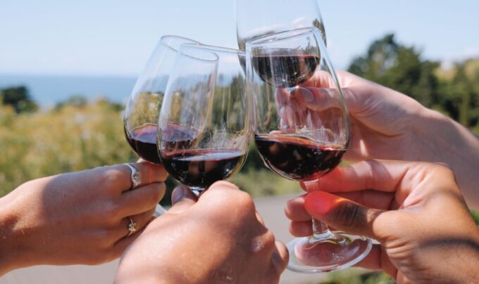 From Auckland: Waiheke Island Wine Cellar Tour - Recap
