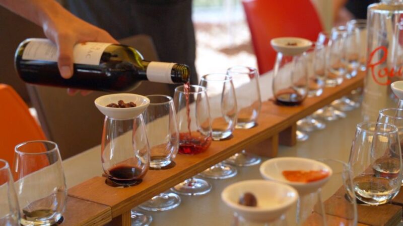 From Auckland: Waiheke Island Wine Tasting Tour With Lunch - Key Points