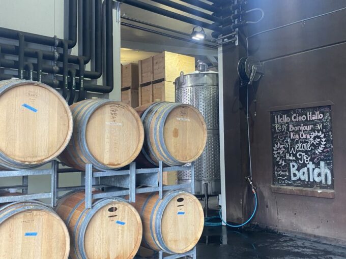 From Auckland: Waiheke Island Wineries Tour - Recap