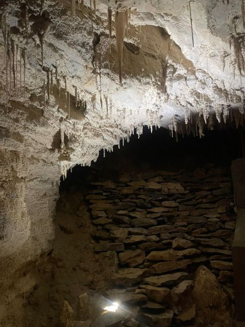 From Auckland: Waitomo Caves and Kiwi House Group Tour - Ruakuri Cave Guided Tour