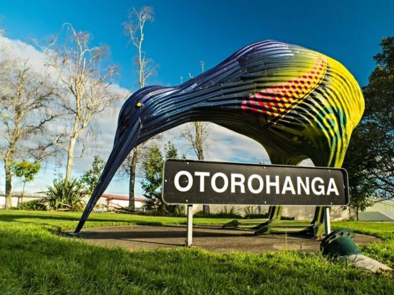 From Auckland: Waitomo Caves and Kiwi House Group Tour - Otorohanga Kiwi House Guided Tour