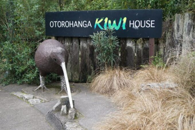 From Auckland: Waitomo Caves and Kiwi House Group Tour - Important Information