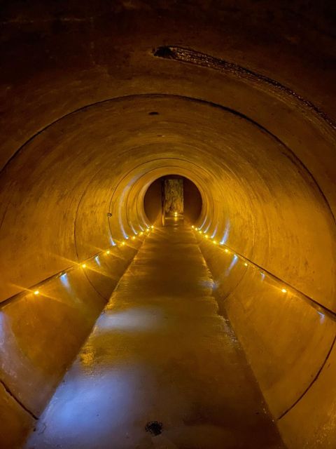 From Auckland: Waitomo Caves and Kiwi House Group Tour - Recap