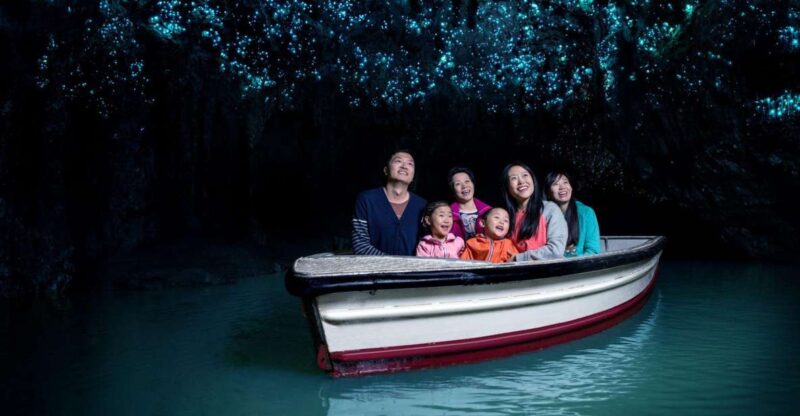 From Auckland : Waitomo Caves and Rotorua With Te Puia - Pickup and Transportation
