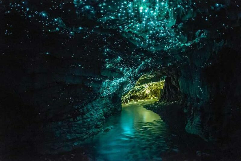 From Auckland: Waitomo Glow Worm Caves & Rotorua Tour - Discovering Rotorua’s Geothermal Wonderlands
