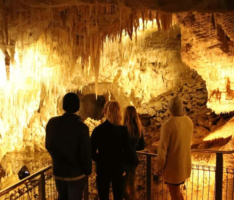 From Auckland: Waitomo Glow Worm Caves & Rotorua Tour - Practical Considerations and Value