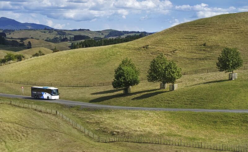 From Auckland: Waitomo & Hobbiton Bus Tour With Lunch - Customer Experience