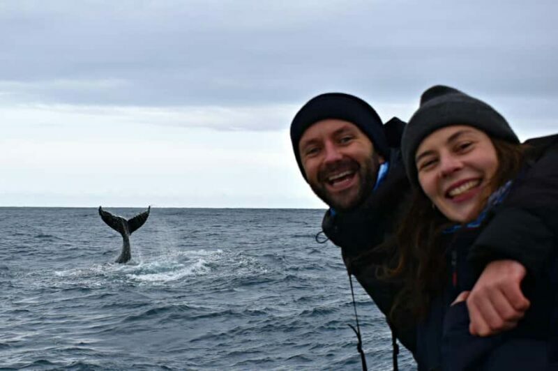 From Augusta: Whale Watching Award Winning Tour - FAQ