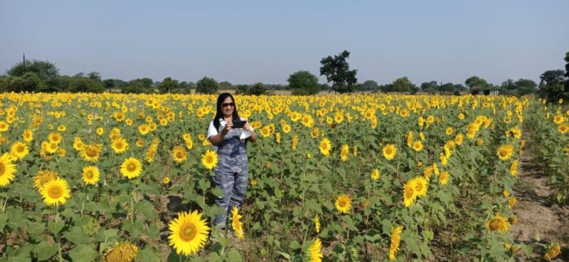 From Aurangabad: Private Tour Hampi, Badami, Ajanta & Ellora - Travel to Vijayapura