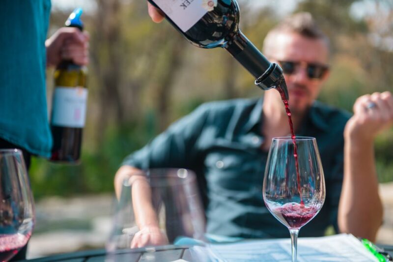 From Austin: Half-Day Hill Country Wine Shuttle - Experience and Highlights