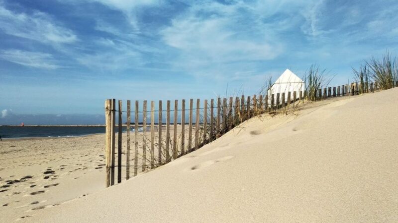 From Aveiro: Barra Beach Lighthouse & Costa Nova Guided Tour - Itinerary Details