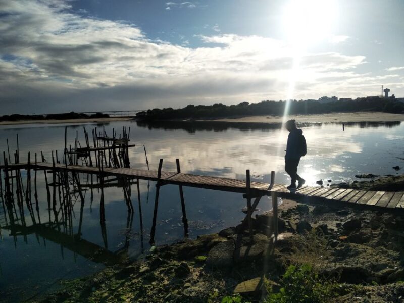 From Aveiro: Barra Beach Lighthouse & Costa Nova Guided Tour - Transportation and Logistics