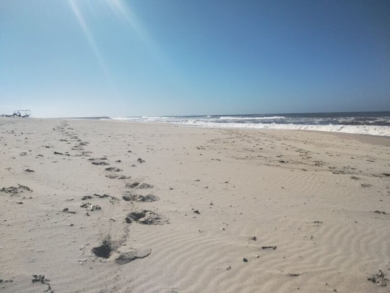 From Aveiro: Barra Beach Lighthouse & Costa Nova Guided Tour - Customer Feedback