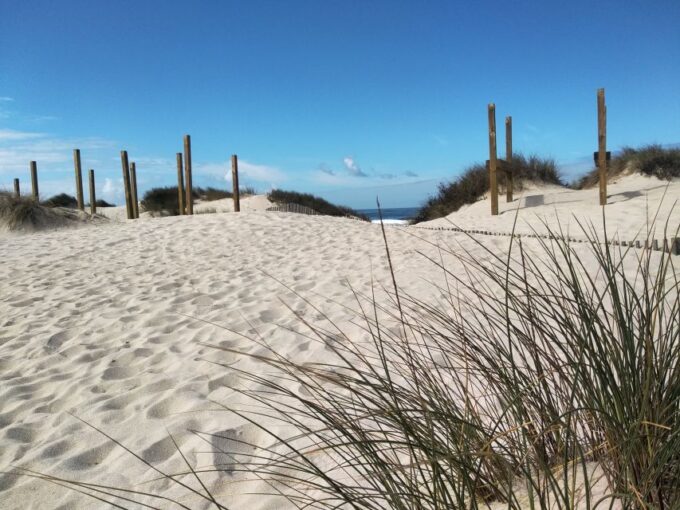 From Aveiro: Barra Beach Lighthouse & Costa Nova Guided Tour - Local Culture and Cuisine