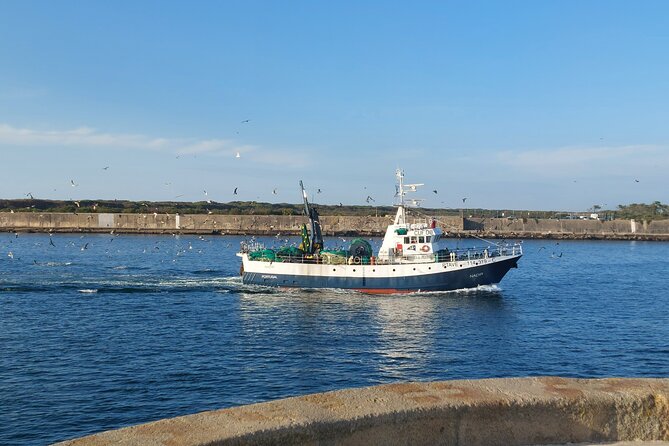 From Aveiro: Costa Nova, Barra, Vista Alegre - Half-Day Trip - Whats Included