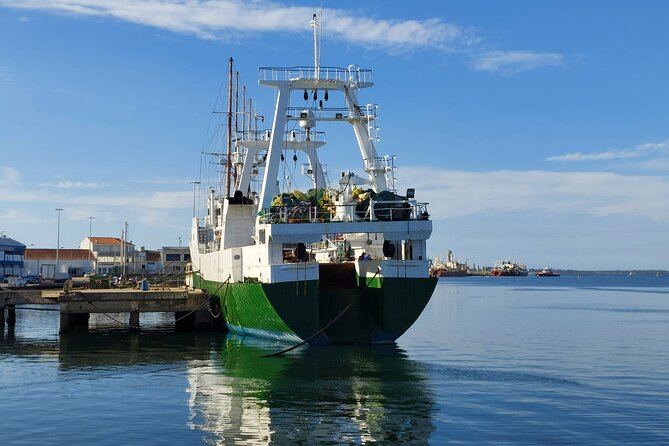 From Aveiro: Costa Nova, Barra, Vista Alegre - Half-Day Trip - Explore Barra