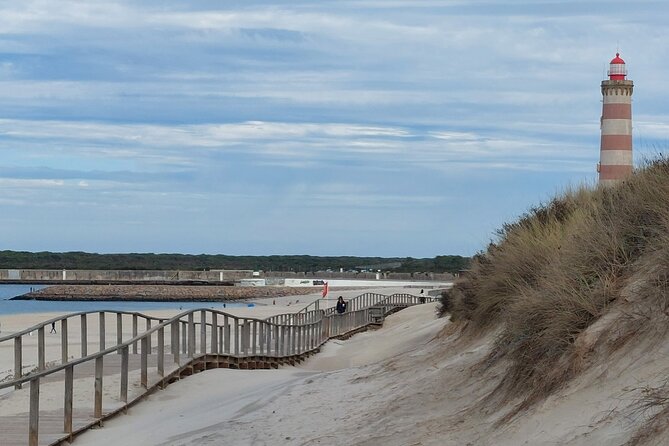 From Aveiro: Costa Nova, Barra, Vista Alegre - Half-Day Trip - Visit Vista Alegre