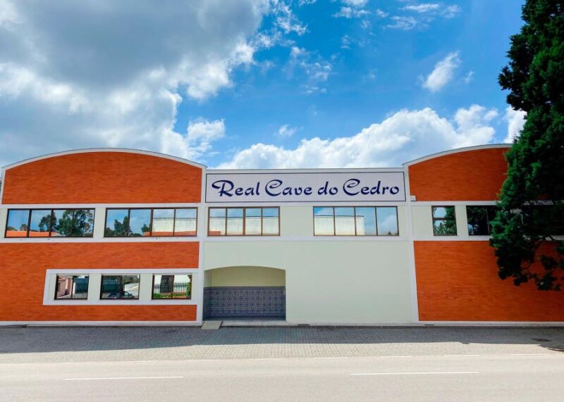 From Aveiro: Real Cave Do Cedro Guided Tour - Experience Highlights