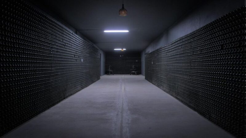 From Aveiro: Real Cave Do Cedro Guided Tour - Grape Varieties