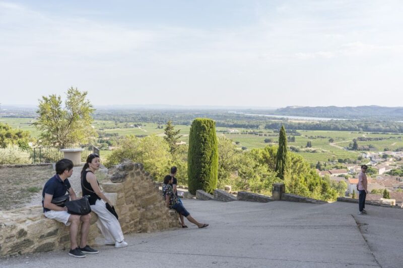 From Avignon: Avignon & Châteauneuf Du Pape Wine Tour - Glass of Côtes Du Rhône Wine