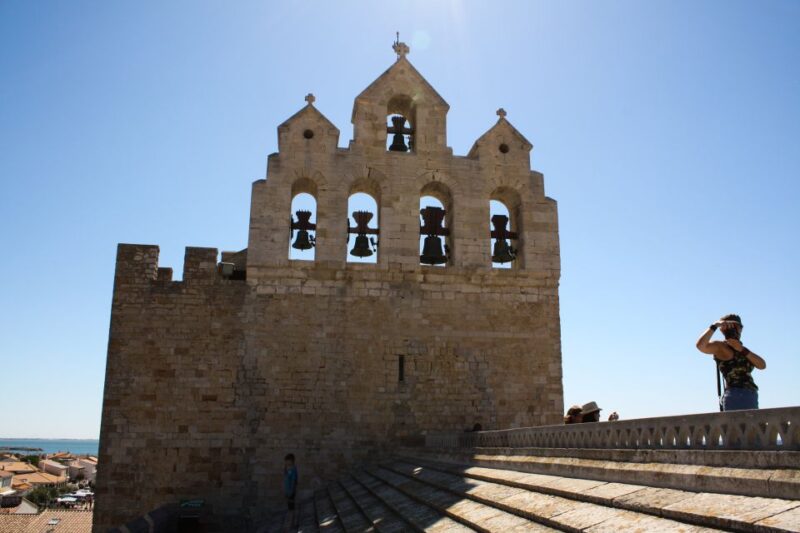 From Avignon: Camargue Tour With Pont De Gau Bird Park Entry - Saintes-Maries-de-la-Mer