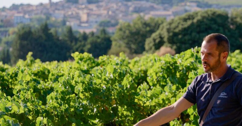 From Avignon: Châteauneuf Du Pape Half-Day Wine Tour - Wine Experience