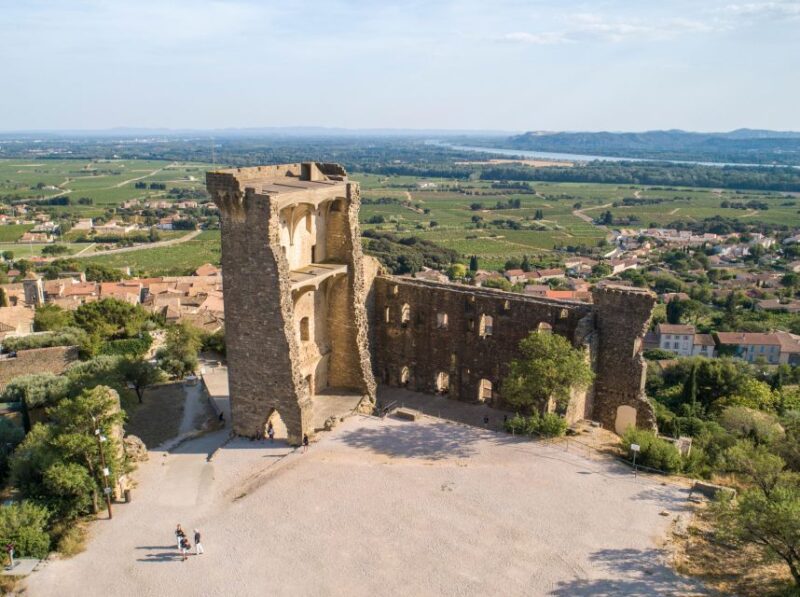 From Avignon: Châteauneuf Du Pape Half-Day Wine Tour - Important Information