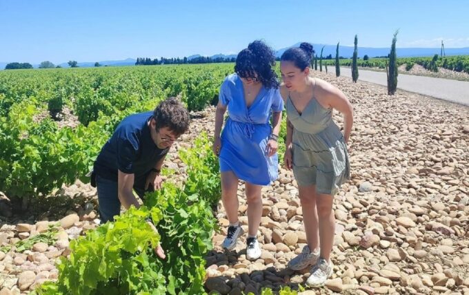 From Avignon: Châteauneuf Du Pape Half-Day Wine Tour - Starting Point