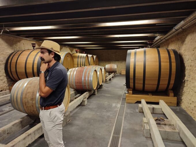 From Avignon: Châteauneuf Du Pape Half-Day Wine Tour - Frequently Asked Questions