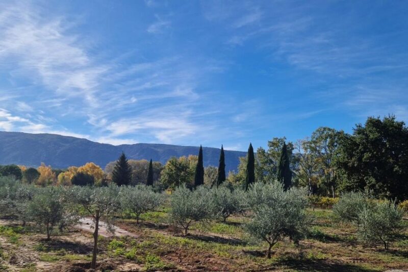 From Avignon: Full-Day E-Bike Tour in the Luberon Region - Inclusions and Exclusions