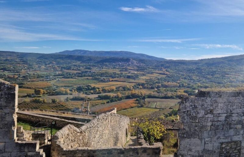 From Avignon: Full-Day E-Bike Tour in the Luberon Region - Important Information
