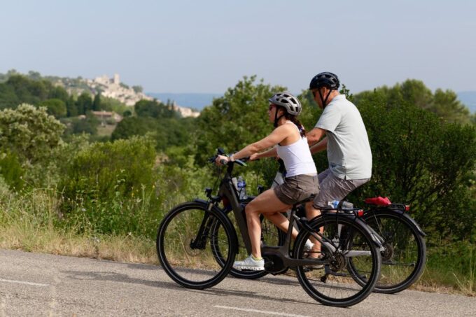 From Avignon: Full-Day E-Bike Tour in the Luberon Region - Taste Local Produce