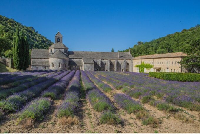 From Avignon: Half-Day Baux De Provence and Luberon Tour - Exploring the Picturesque Luberon Region