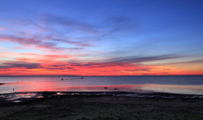 From Avignon: Half-Day Camargue and Saintes-Maries-de-la-Mer - Transportation and Guided Tour